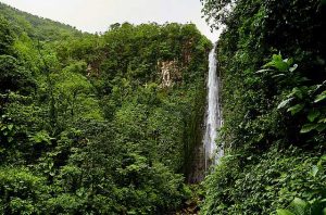 Chutes-du-Carbet-guadeloupe