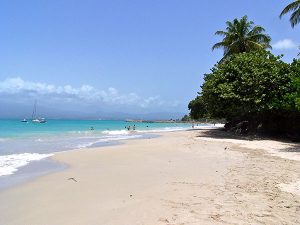 plage guadeloupéenne